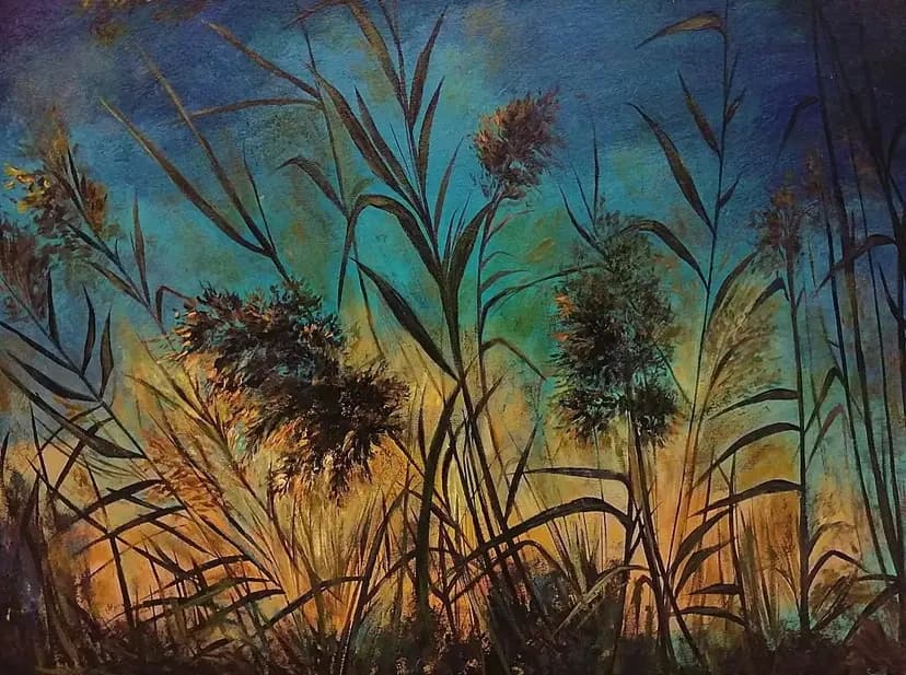 A sunset walk through the reeds